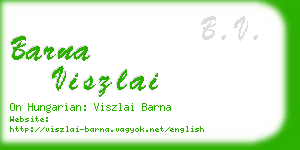 barna viszlai business card